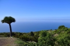 Unverbaubarer Atlantikblick auf dem gesamten Grundst�ck