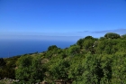 Unverbaubarer Atlantikblick auf dem gesamten Grundst�ck
