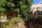 Sch�n eingewachsener Garten