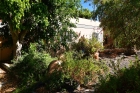 Sch�n eingewachsener Garten