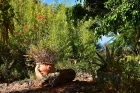 Sch�n angelegter Garten