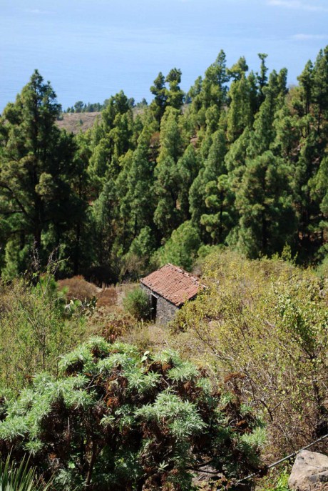 Ausbau zu weiterem Apartment m�glich