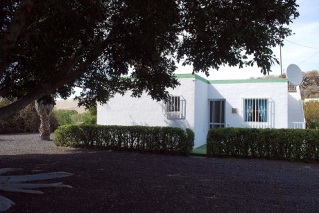 K�hler Schatten unter riesigem Lorbeerbaum