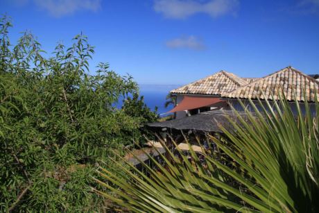 Teilweise alter Baumbestand