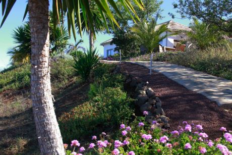 Schön angelegter Garten