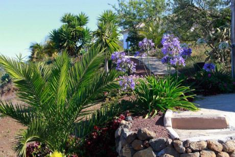 Schön angelegter Garten