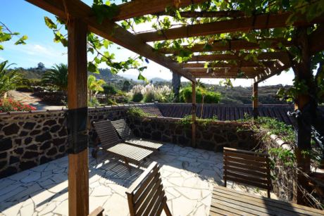 Dachterrasse mit Weinpergola