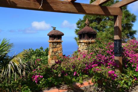Dachterrasse mit Weinpergola