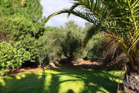 Parkähnliche Außenanlage