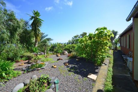 Garten pflegeleicht und automatisch bew�ssert