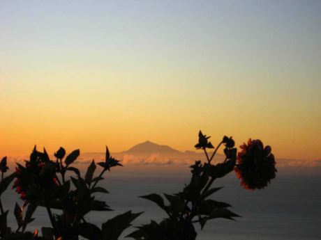 � Fr�haufstehern zeigt er sich von seiner sch�nsten Seite