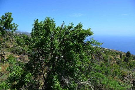 Blick nach Südwesten