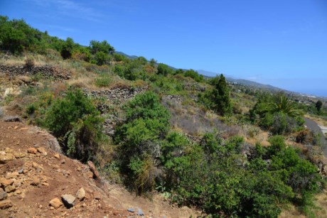 Blick nach Südwesten