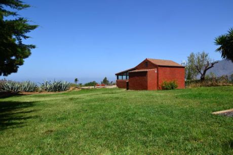 oder sattgr�ner Rasen zum liegen �