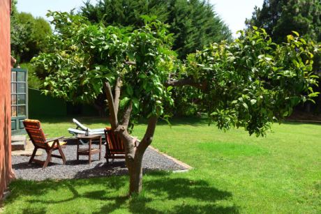 Unter Orangenb�umen sitzen und das Leben genie�en, wer tr�umt nicht davon?