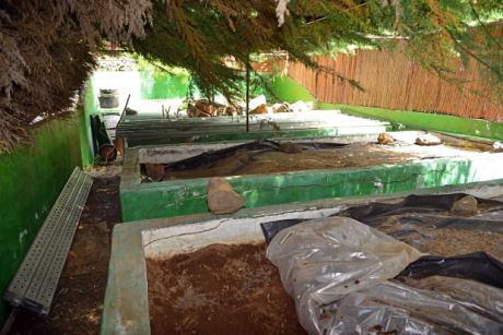 Beschattete Hochbeete f�r den Gem�seanbau