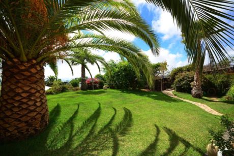 Sch�n angelegter Garten mit altem Baumbestand