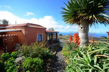 Heimischer Pflanzenbestand