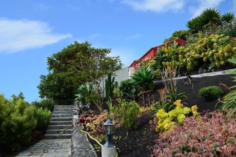 Pflegeleichter Garten