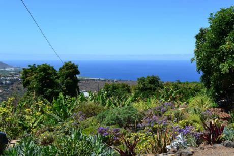 Subtropischer Garten