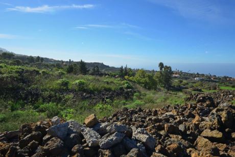 Blick über das Grundstück nach Südwesten
