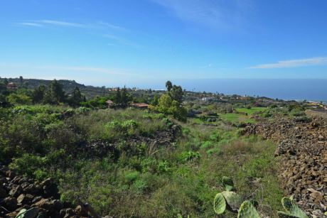 Blick über das Grundstück nach Südwesten