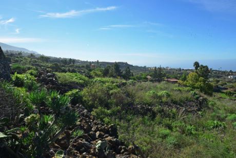 Blick über das Grundstück nach Süden