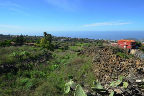 Blick über das Grundstück nach Südwesten