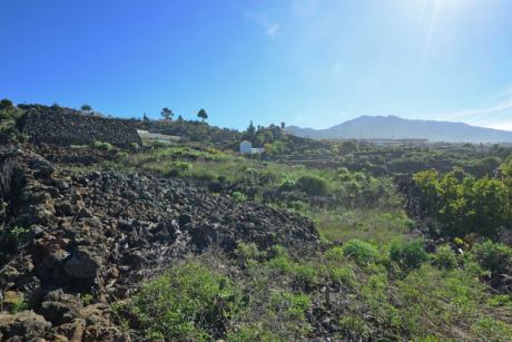 Blick über das Grundstück nach Südosten