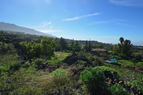 Blick über das Grundstück nach Süden