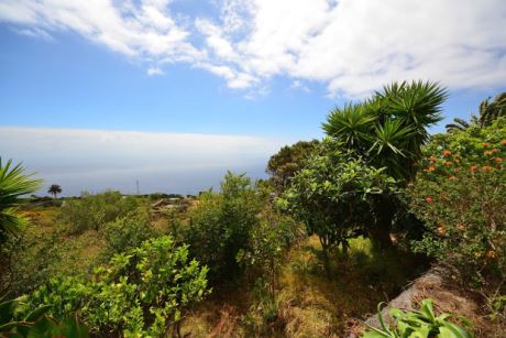 Panorama zum Relaxen