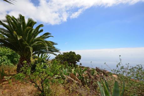 Panorama zum Relaxen