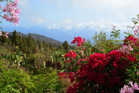 Blick vom G�stehaus 1