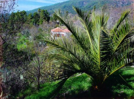 Haupthaus von S�den