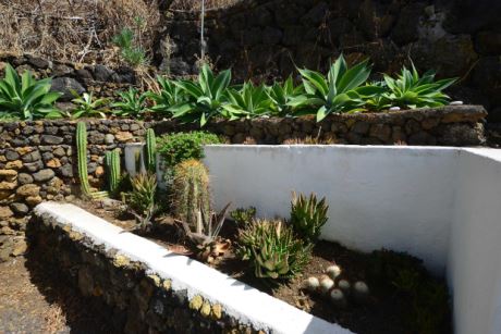 Gästehaus Kakteengärtchen