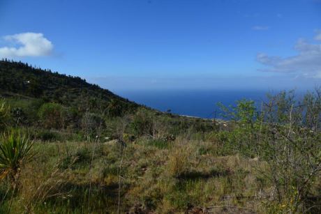 Blick nach Südwesten