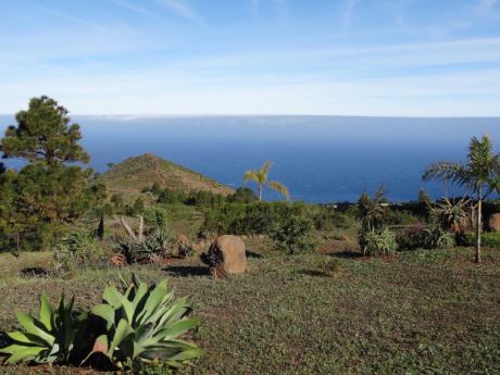 Platz f�r eigene Pflanzentr�ume