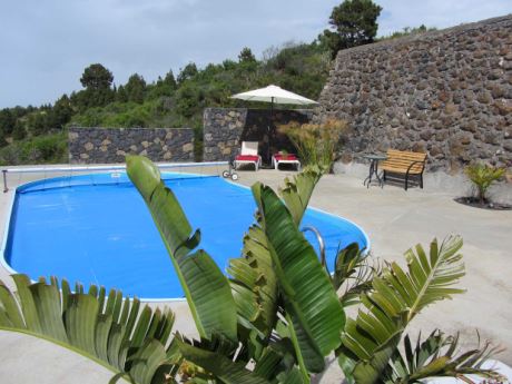 Pool mit Terrasse und …