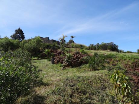 Teilweise angelegter Garten