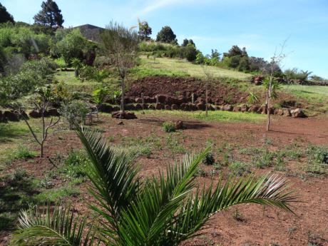 Möglicher, weiterer Bauplatz