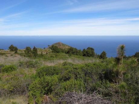 Viel Raum für eigene Gestaltung