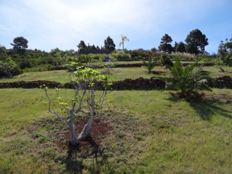 Teilweise terrassiertes Gelände