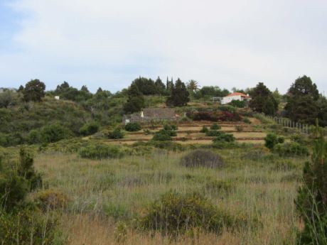 Sehr großes Gelände