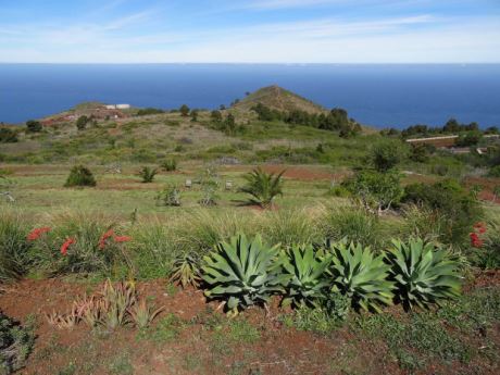 Teilweise angelegter Garten