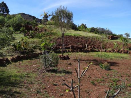 Teilweise angelegter Garten