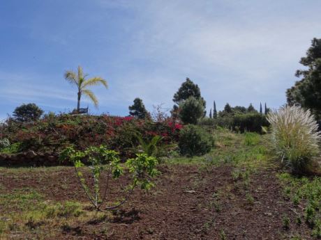 Teilweise angelegter Garten