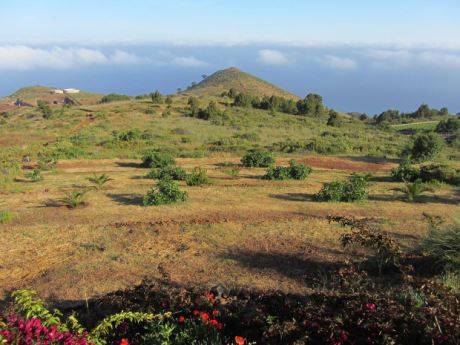 Teilweise angelegter Garten