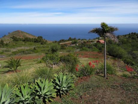 Liebevoll angelegter Garten