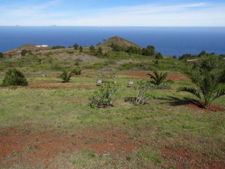 Viel Platz für eigene Gartenträume …