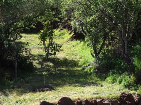 …mit sehr vielen Optionen und …